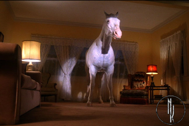 Horse
