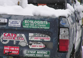 bumper stickers